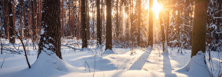 How to Stay Healthy Through the Winter Months