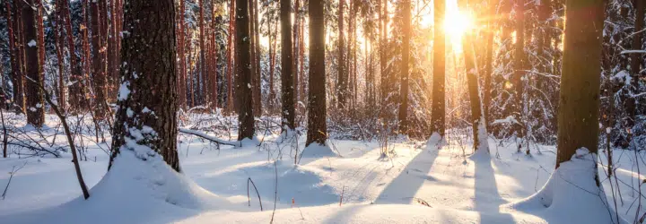 How to Stay Healthy Through the Winter Months