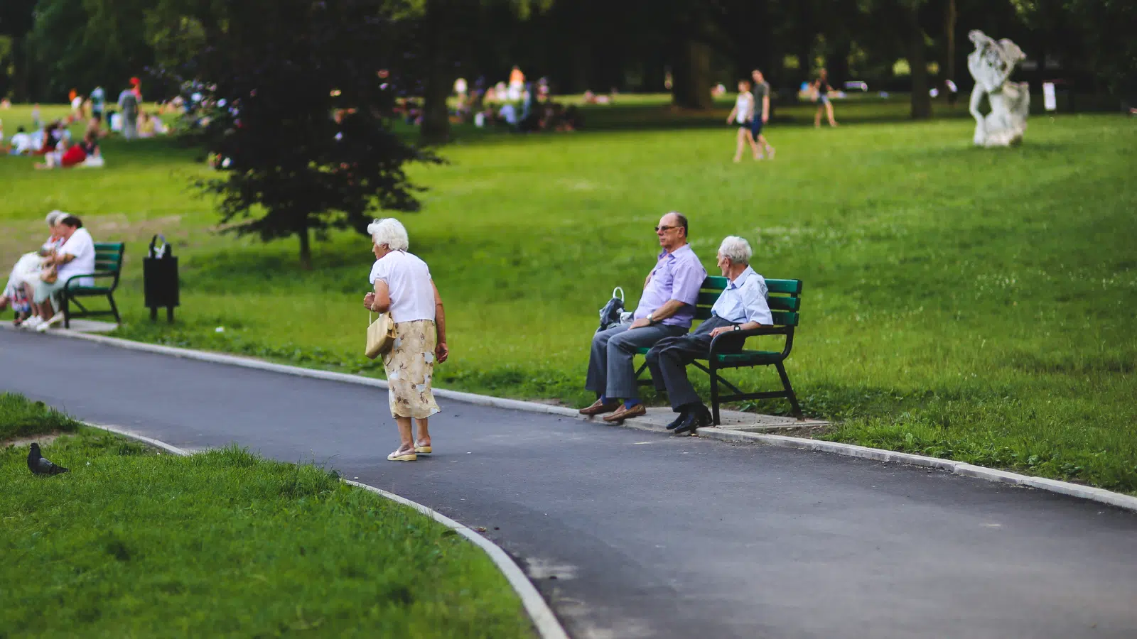 Tips for Managing Chronic Illness in Senior Years Feature Image: Elderly people in the park